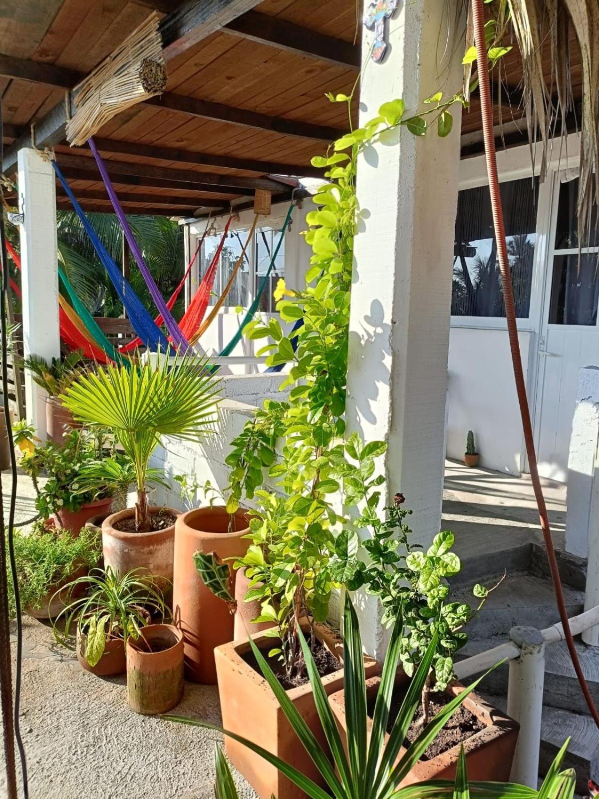 Hotel La Maxima & Lgbt Zipolite Exterior foto