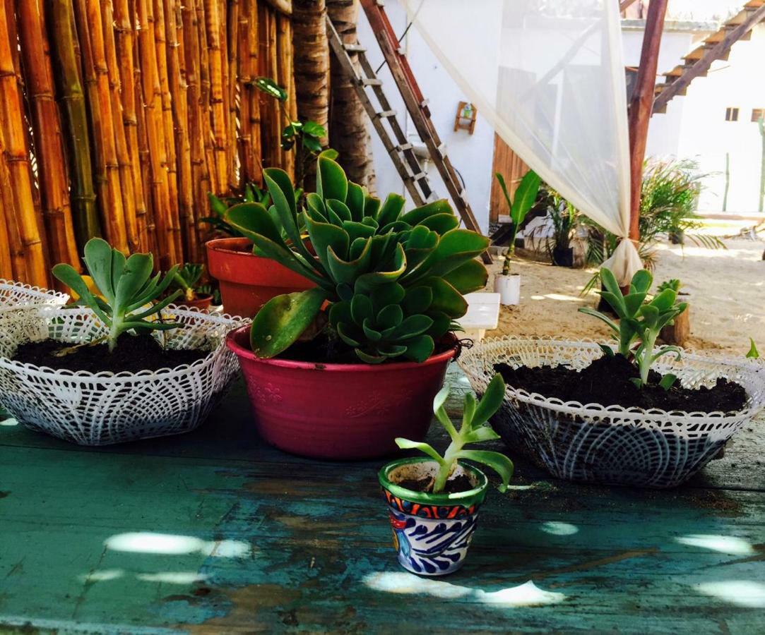 Hotel La Maxima & Lgbt Zipolite Exterior foto